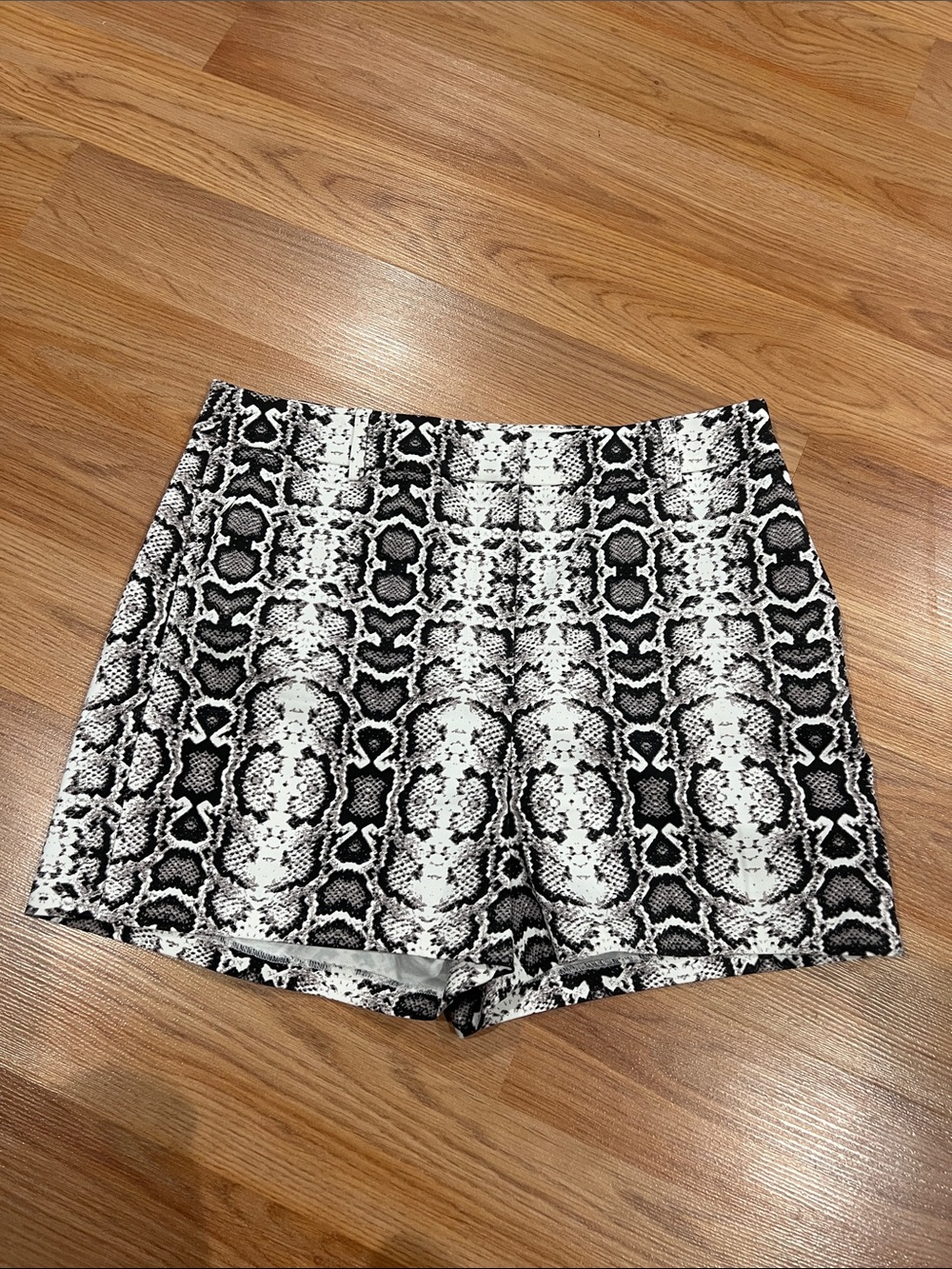Express High-Waist Black & White Snake Print Women's Shorts
